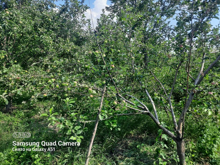 Продам дачу на 2й дачной поворот