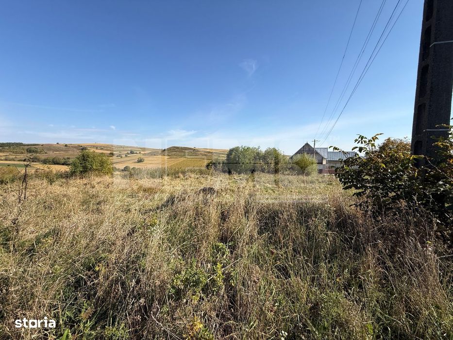 Teren intravilan Burla | 4.000 mp