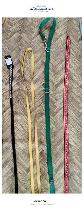 Zgarda pentru ciinii Italia