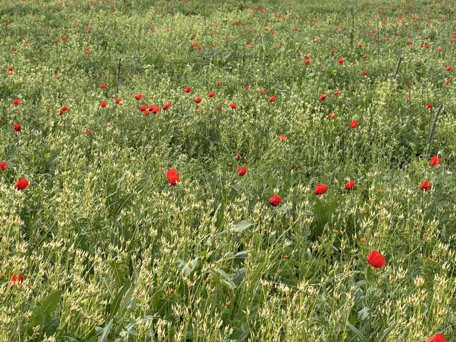 Мехнат ер 5-сотих