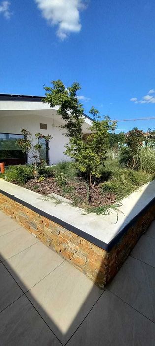 Grădinar dedicat – Îngrijire grădini, amenajare terase, plantări și tratamente plante