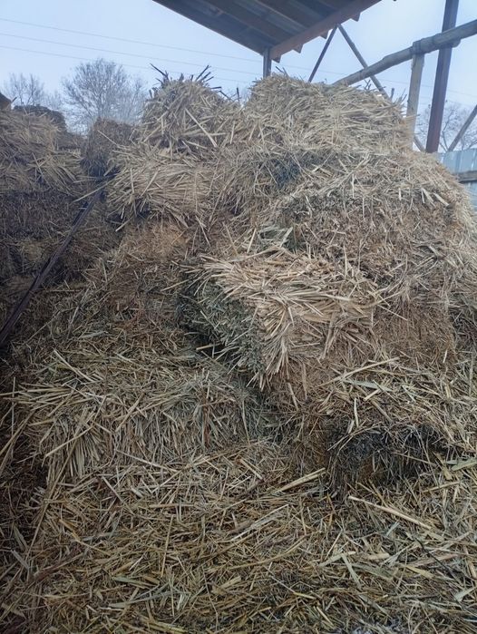 Продается сено в тюках
