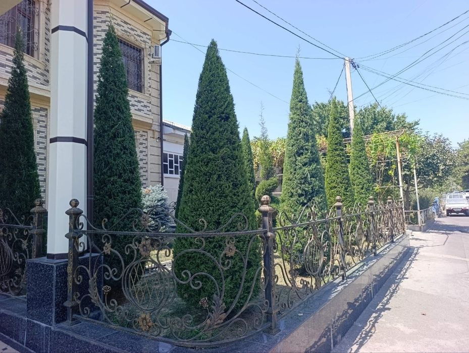 Archa kesish dorilash xizmati