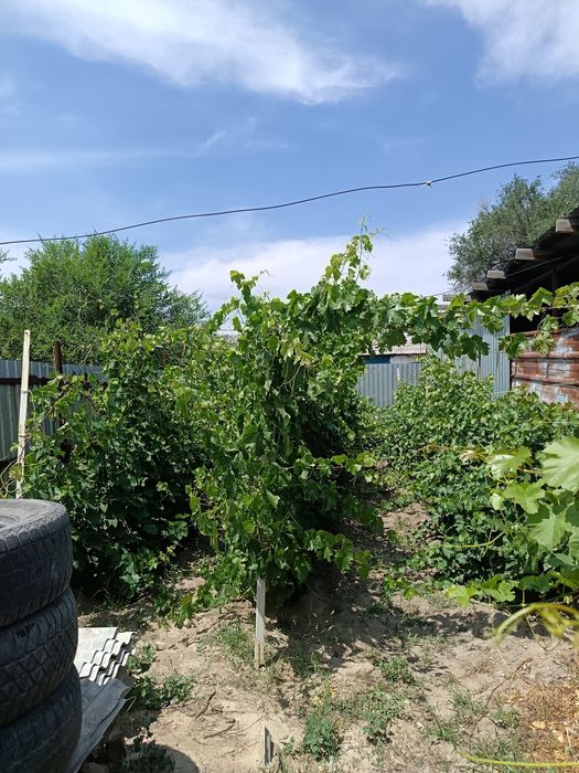 Продам дом г. Алатау