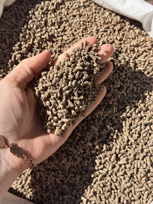 Комбикорм Кур несушка