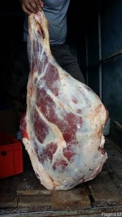 Задняя Часть ( САН ) Говядина