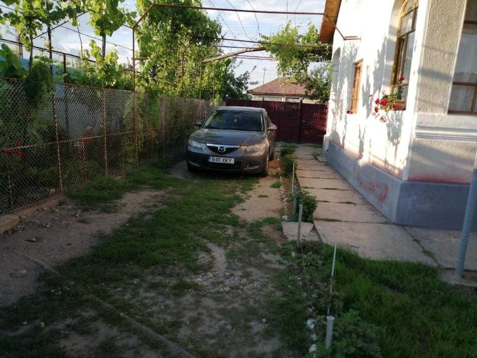 Casă + teren (6116 mp) Cucuieți, Verguleasa (Olt) – ideal locuință