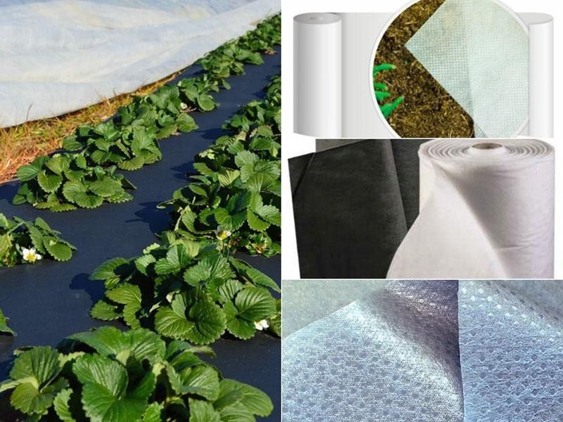 Агровалокно сотамиз 1.6 /2.2/ 3.2 m  25грдан /150гр гача бор