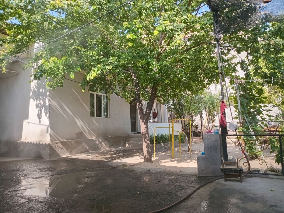 Olmazor tumani mevazorda 8 sotix