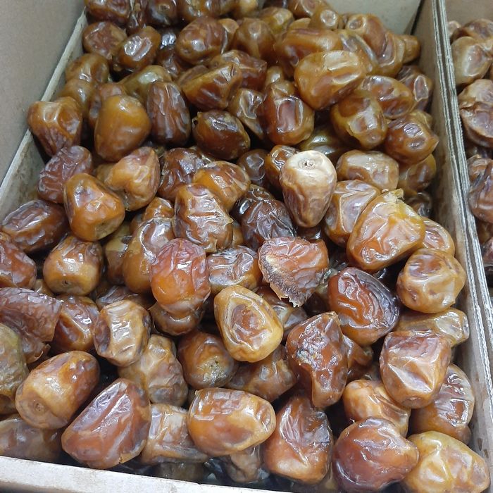 Суккари аджуа финик