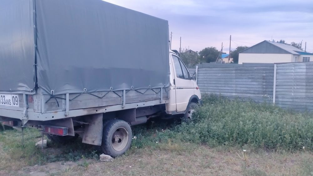 Прадам газель нахаду