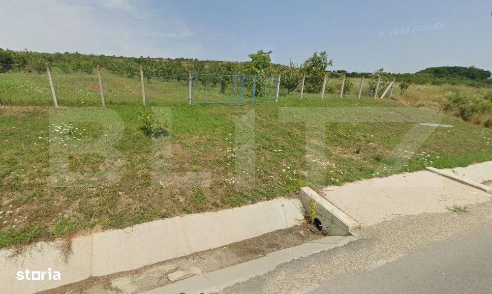 Teren intravilan - 4200 mp, parcelabil, construibil, cu livada, Rascru