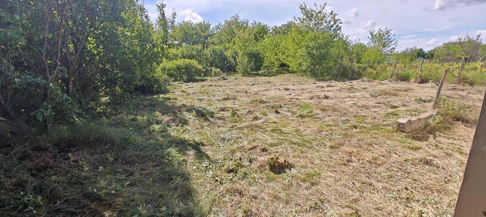 Vand  teren 2000mp + constructie , sat 7 Case, comuna Costesti, Jud Vaslui