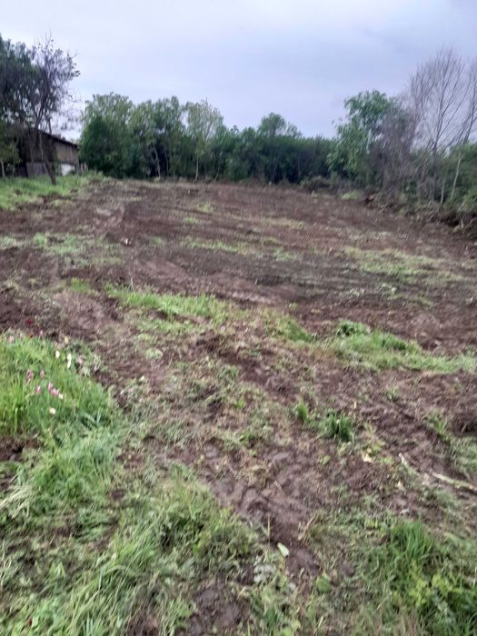 Продава се Парцел в с. Калипетрово, Област Силистра - 2225 кв.м за 4 €/кв.м - Снимка #4