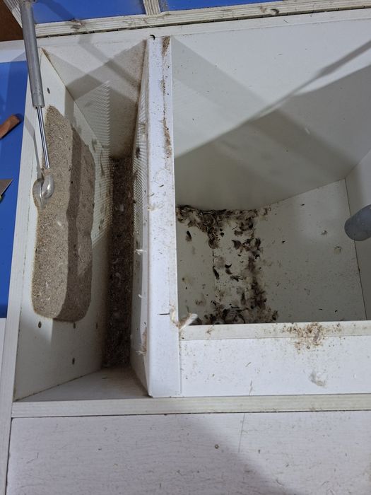 Реставрация подушек, чистка пера.