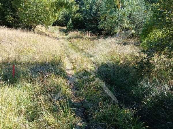 Парцел в с. Ситово! 92102