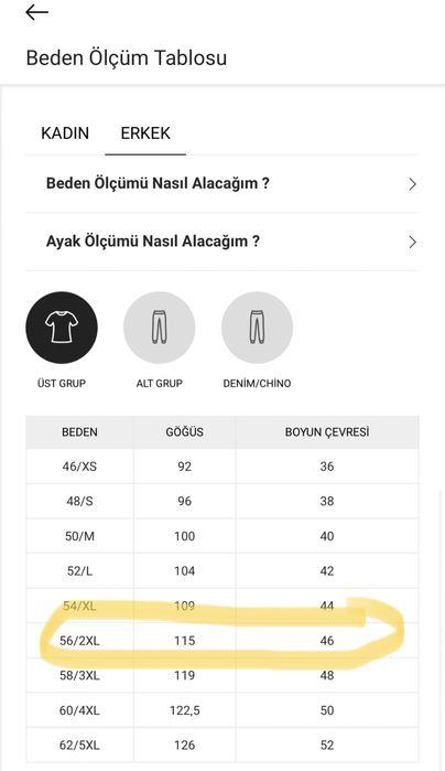 Курта весна/осень