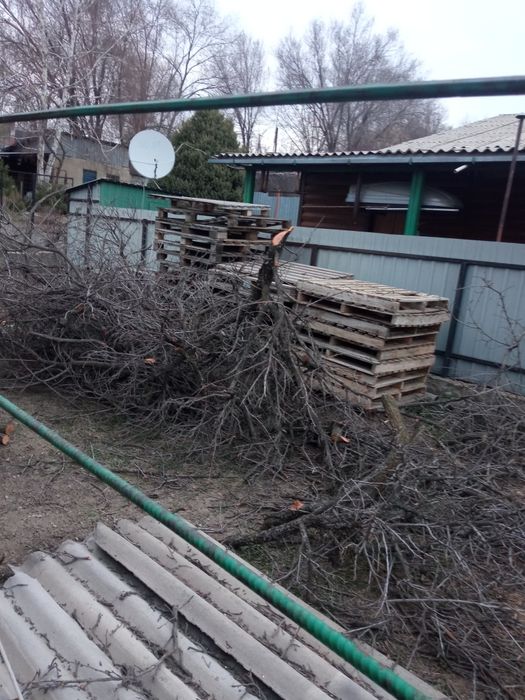 Отдам даром  дрова