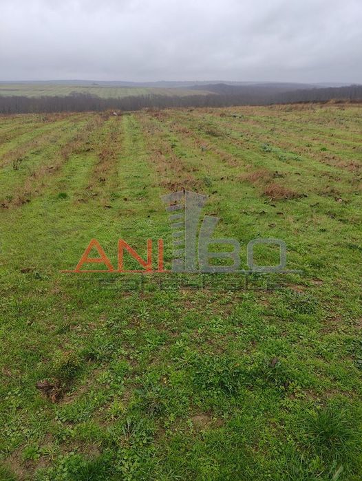 Парцел в Бургас, област-с.Медово площ 7702 цена 100000