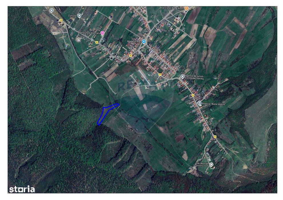 Teren intravilan, 9465 mp, Betfia, lângă pădure, de vânzare