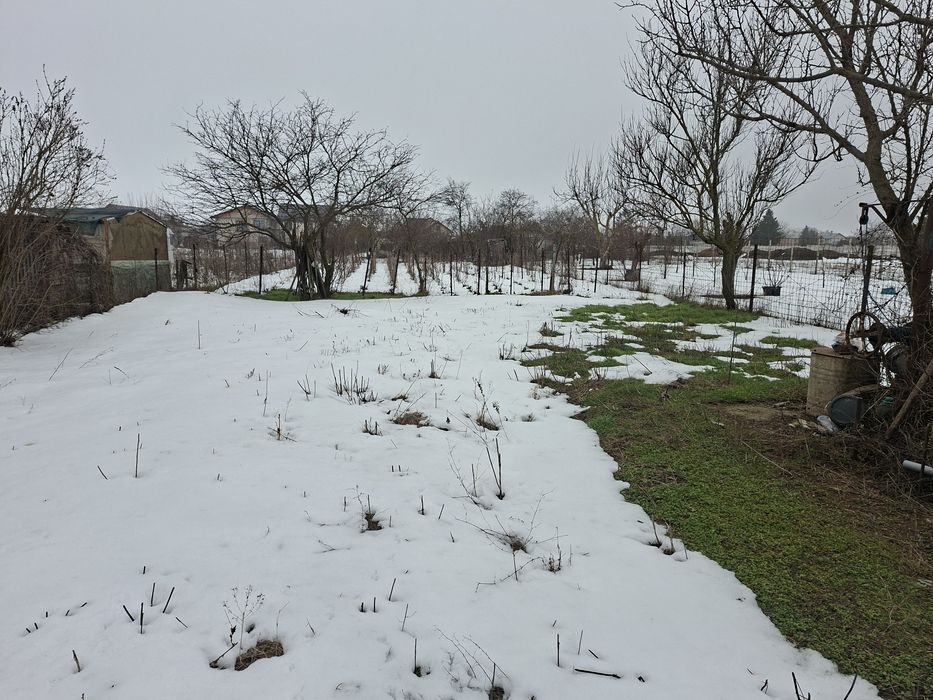 Teren intravilan Domnești-Ilfov