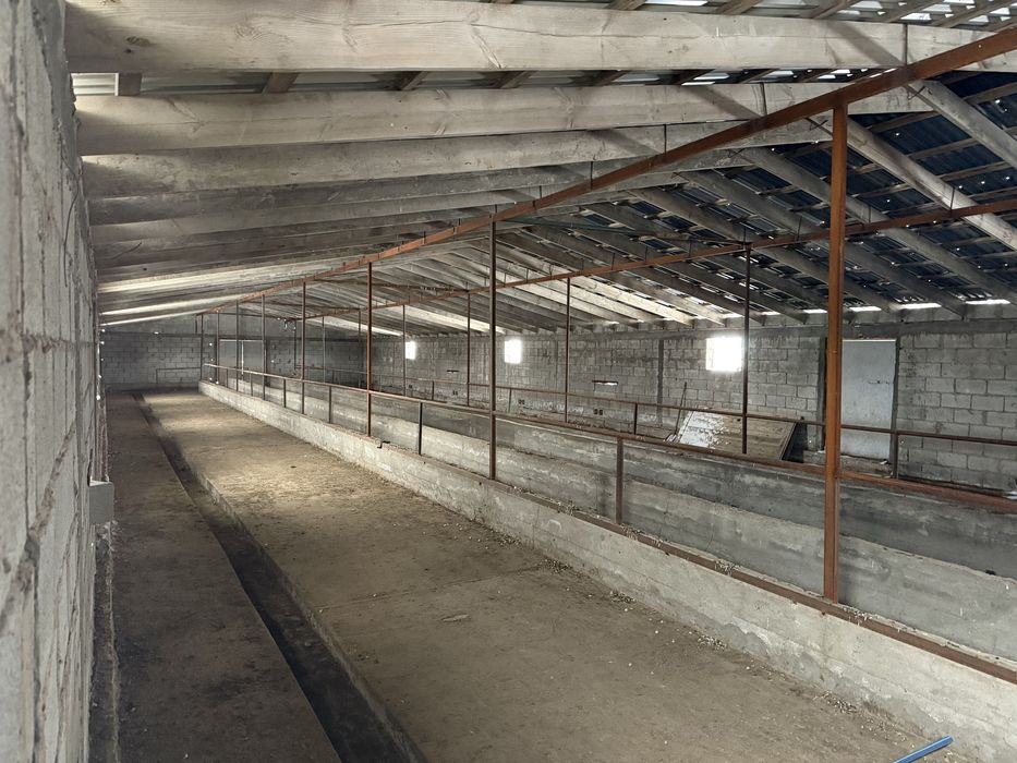 Продам ферму (фазенду)