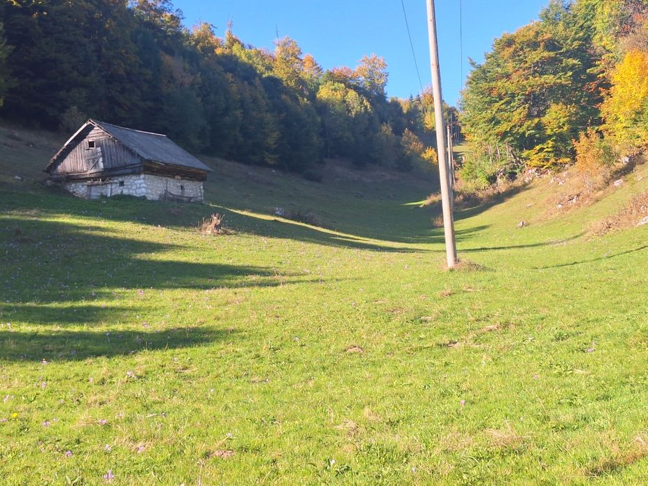 Teren intravilan