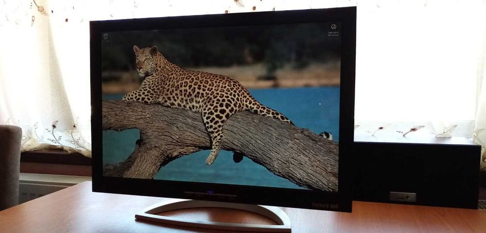 Monitor Packard Bell 220WDV 22" (Defect / Pentru piese / Proiect DIY)
