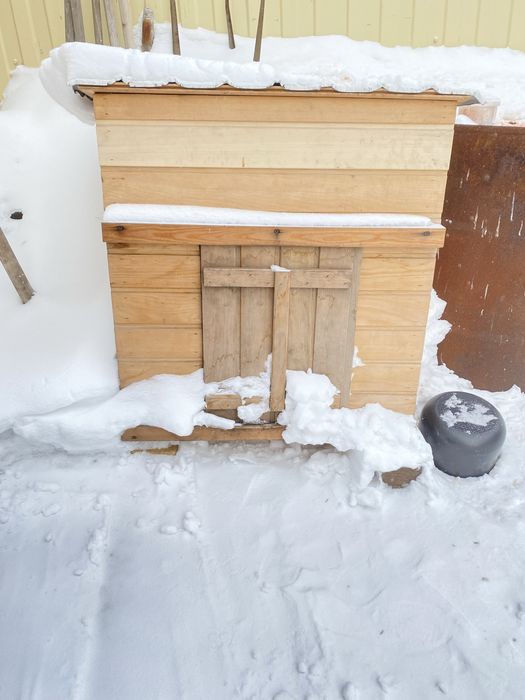 Продаю собачью будку