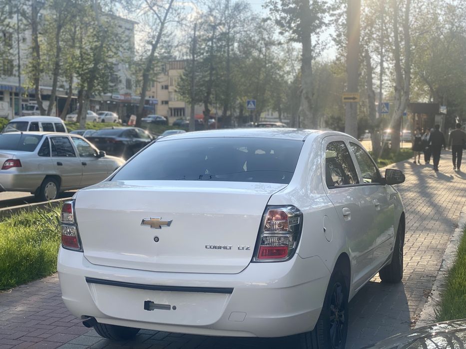 Cobalt 2026 МСМ Pachka