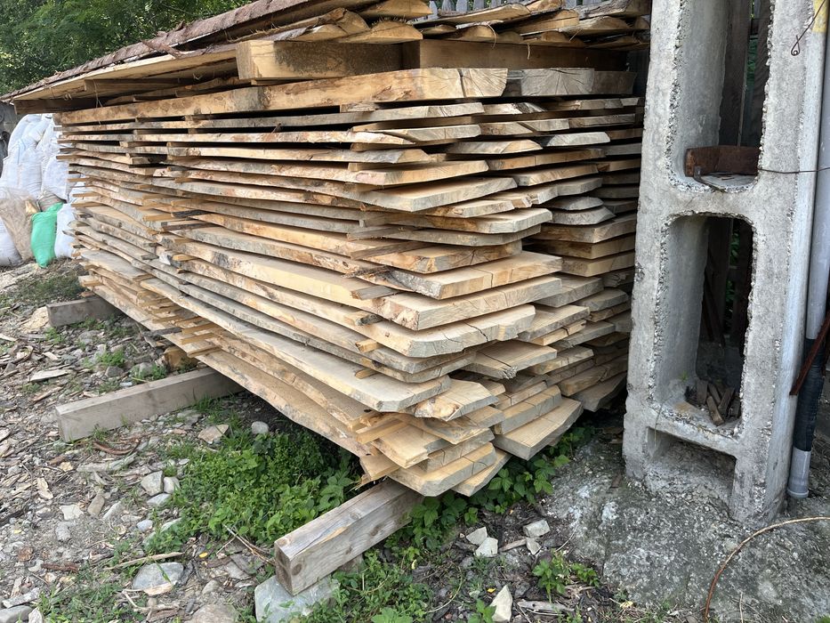 Cherestea din Paltin