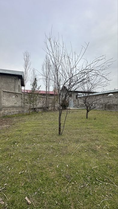 Зангиота тумани, Токзор, Камчатка маҳалласида Ер сотилади