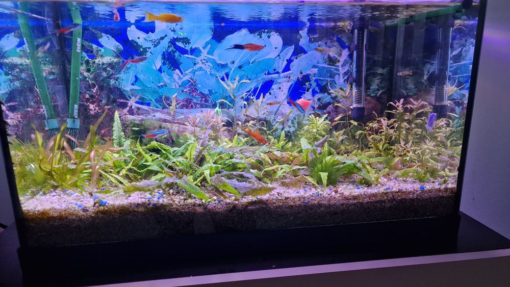 Vând acvariu  complet