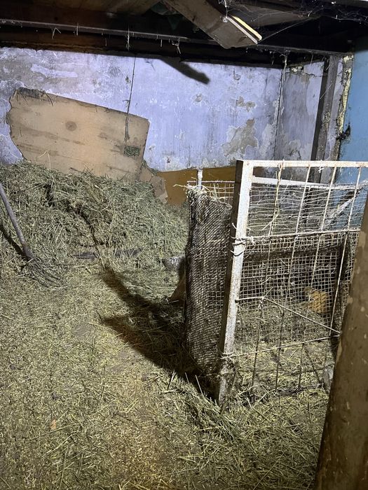 Продам дом отделностоящий