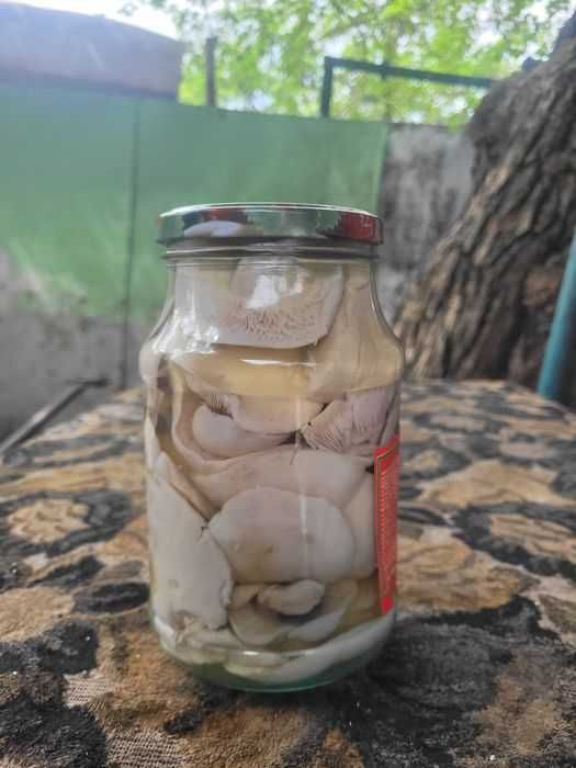 Грибы,маринованные,Синеножка