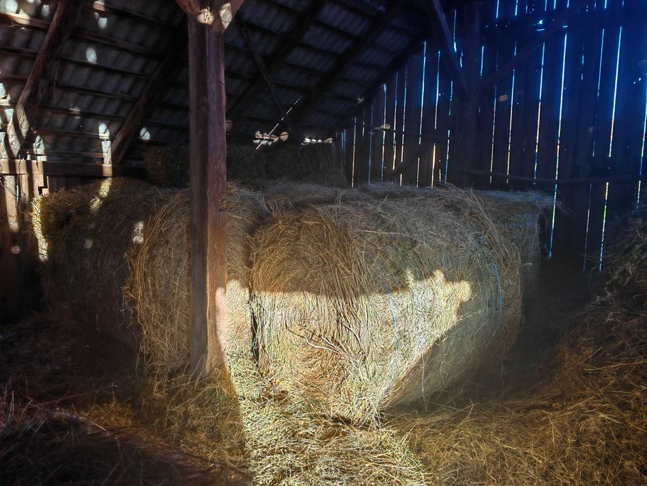 Balot de fan de vanzare