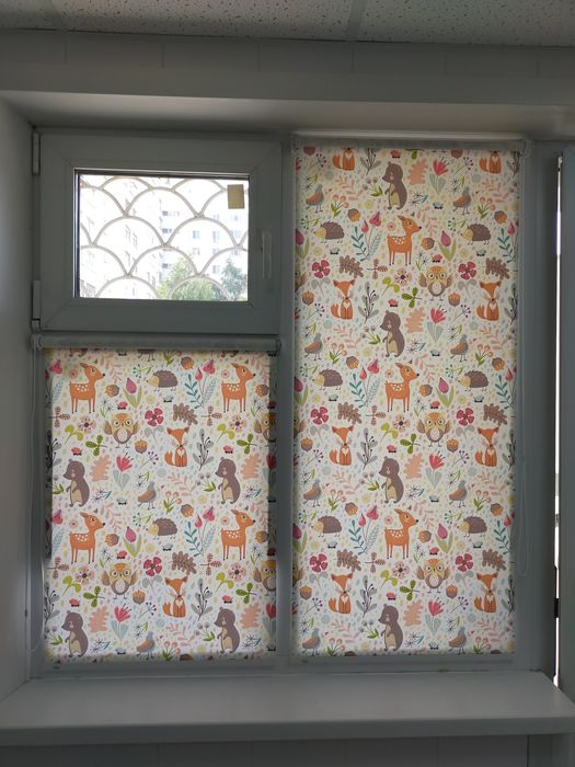 Ролл Шторы с детским рисунком
