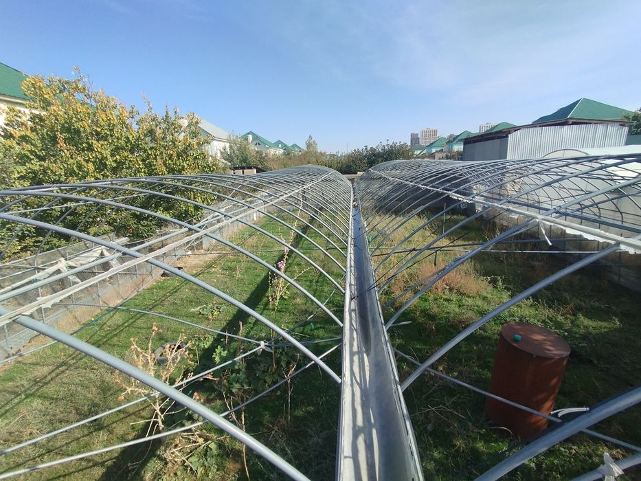 Теплица сатамын . Багасын келысемыз