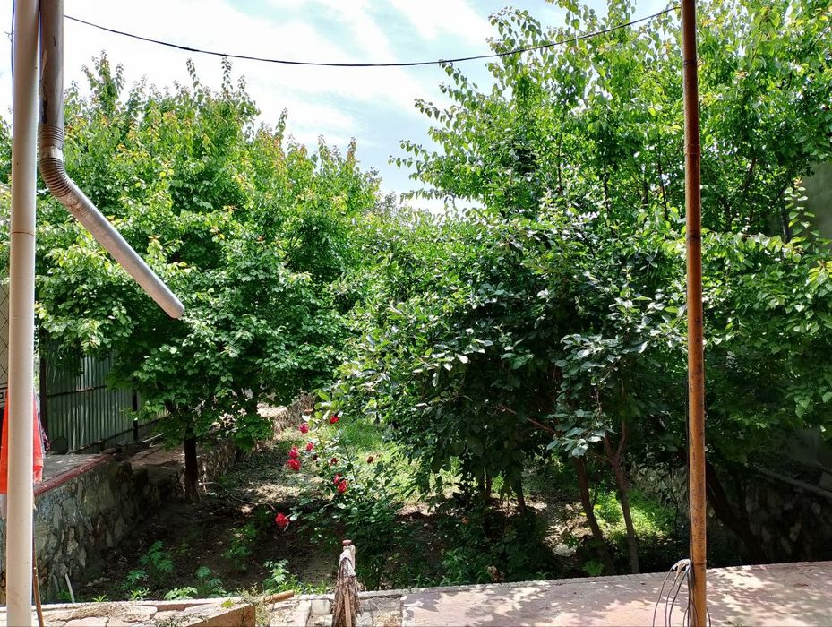 Участка сотилади 8 соток