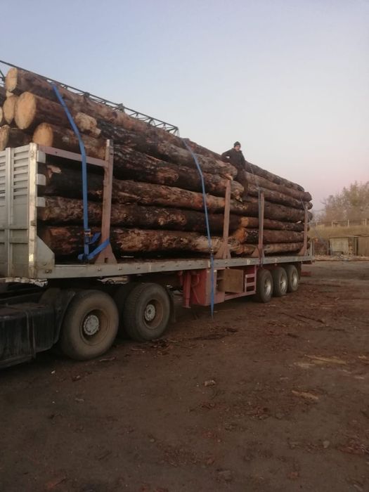 Продам  Лес кругляк . Все законно.