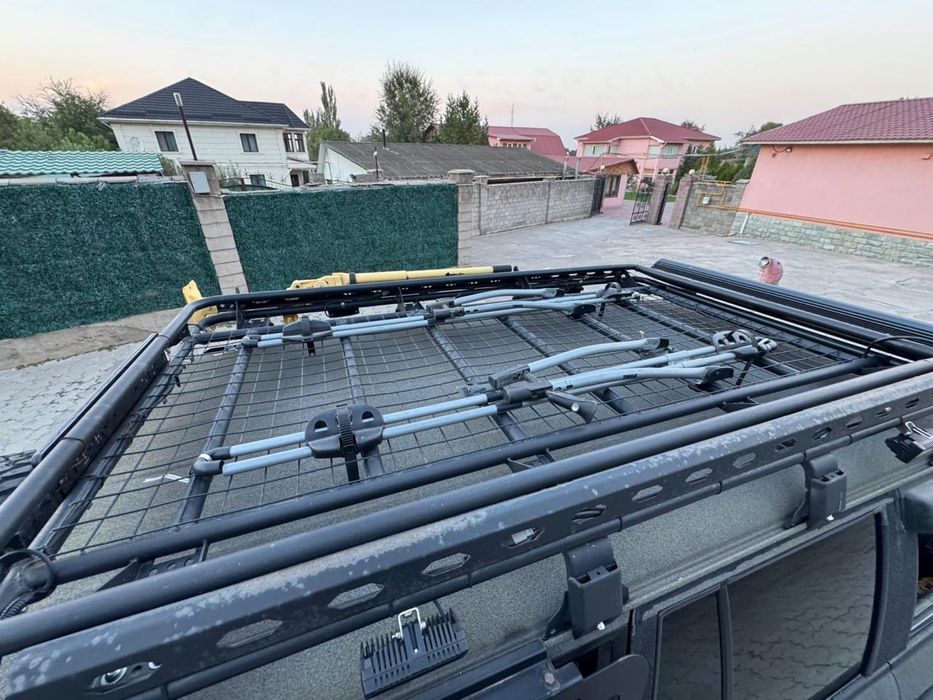 Лошади кабылы крс