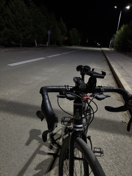 Raleigh Light Speed