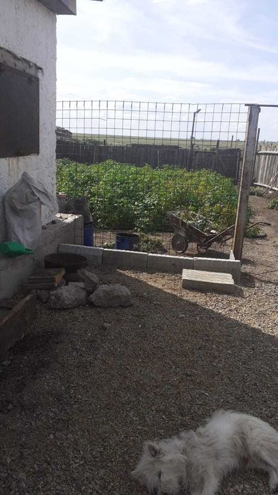 Частный дом 4-х комнатный