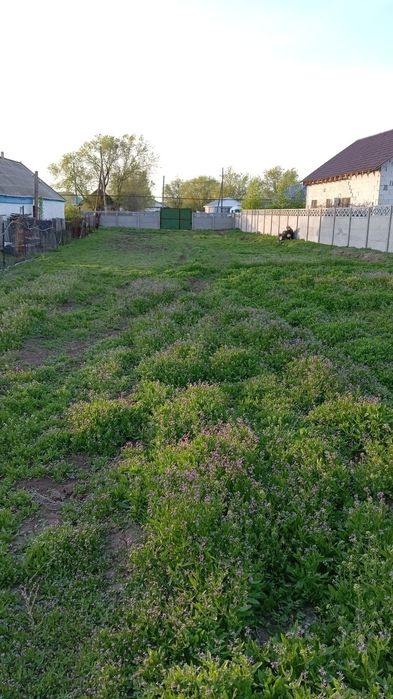 Продам участок в п.Курайли