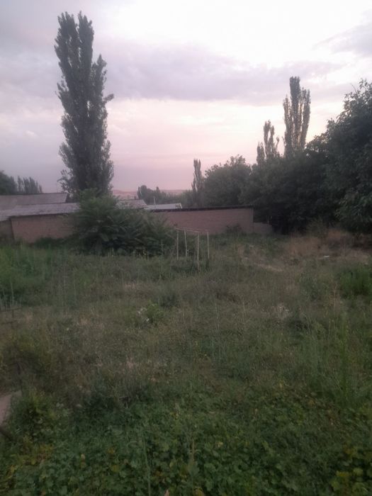 Срочно ЕР сотамиз ок-тошда