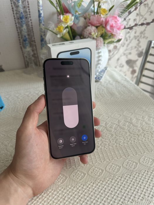 Iphone 14 Pro Max (256 gb)