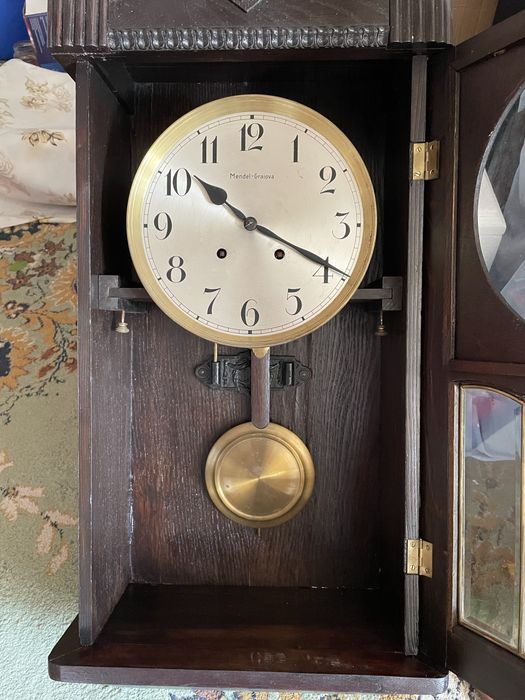 Pendula Mendel Graiova