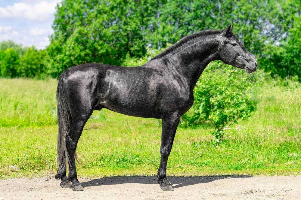 #Продажбанаакции #акционернодружество #създавамеферма #съкооператори