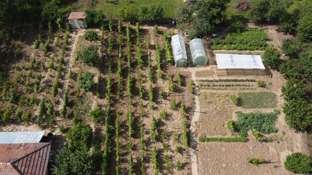 Продава се Парцел в с. Ветрен, Област Силистра - 700 кв.м за 11 €/кв.м - Снимка #3