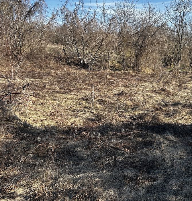 Продава се Парцел в Борово - 2484 кв.м за 3 €/кв.м - Снимка #4